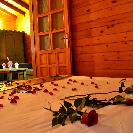 Life Port Istanbul 4* Sekerpinari